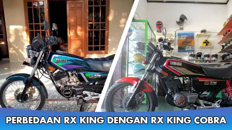 Perbedaan RX King dengan RX King Cobra yang Wajib Diketahui!